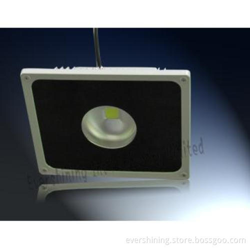 cold white Outdoor flood light led 50w led floodlight suppliers